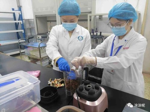 食品檢驗(yàn)員證怎么輕松速考下來(lái)難度怎么樣